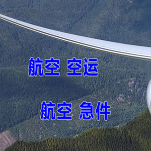 阿里普兰航空快递快递-选东方航空和上海航空